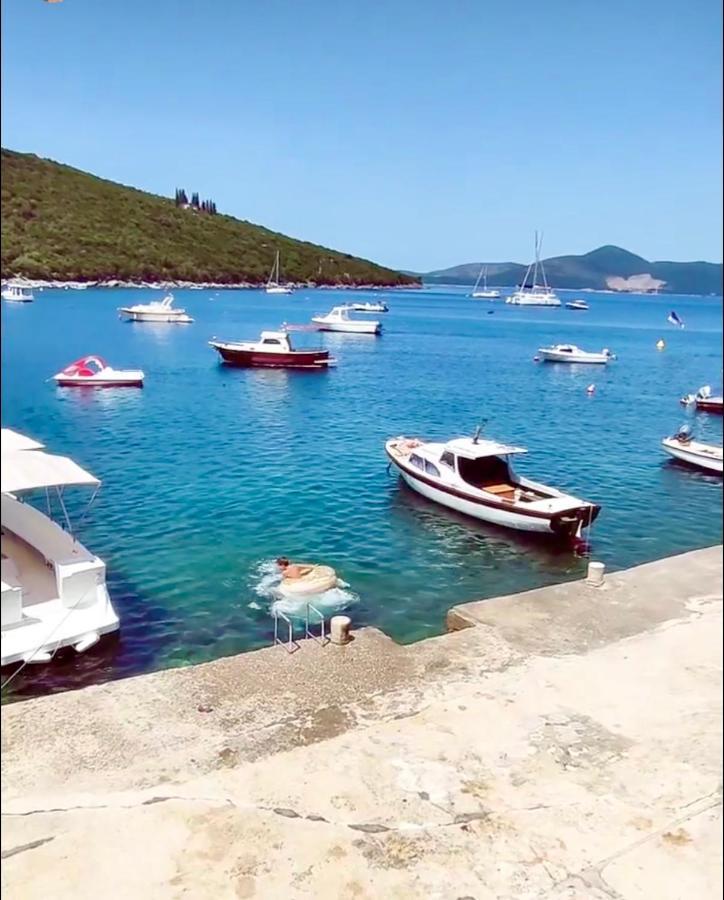Lazarus Bigova Apartments Tivat Eksteriør bilde